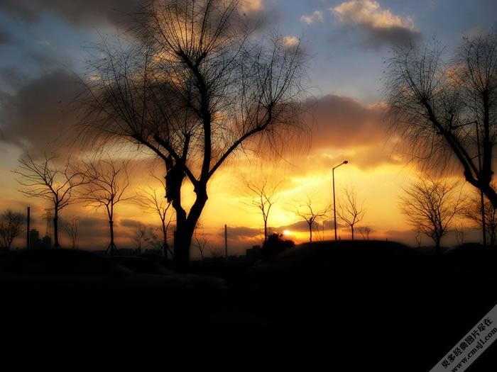 �羰��Ӱ��ֽ