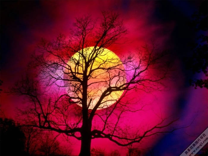 �羰��Ӱ��ֽ