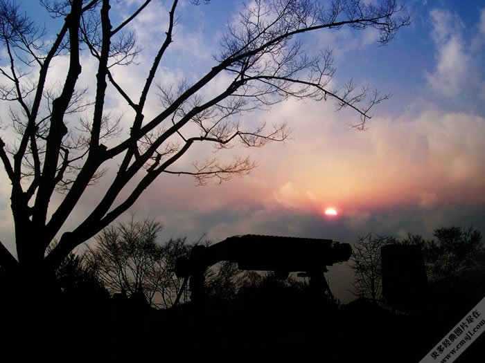 �羰��Ӱ��ֽ