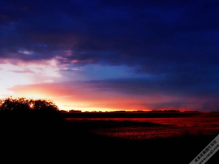 �羰��Ӱ��ֽ