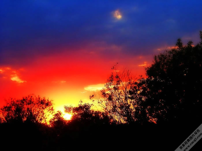 �羰��Ӱ��ֽ