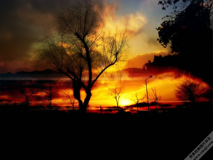 �羰��Ӱ��ֽ