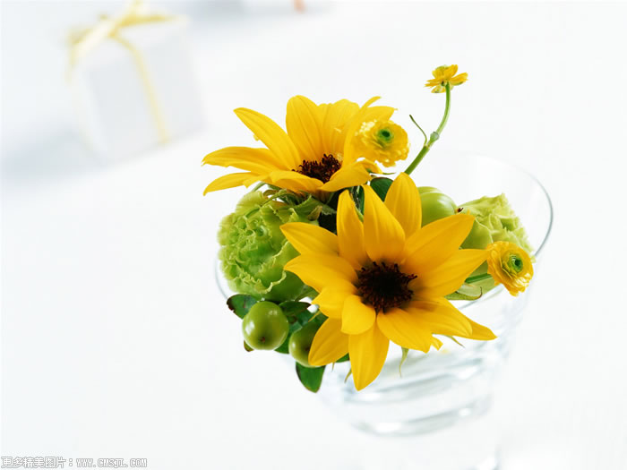 �ʻ���Ʒ��װ