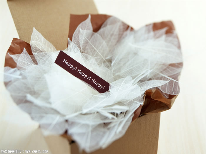 �ʻ���Ʒ��װ