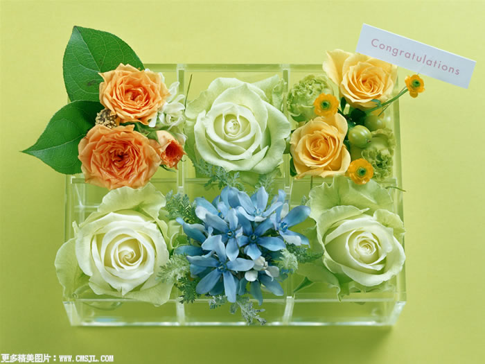 �ʻ���Ʒ��װ