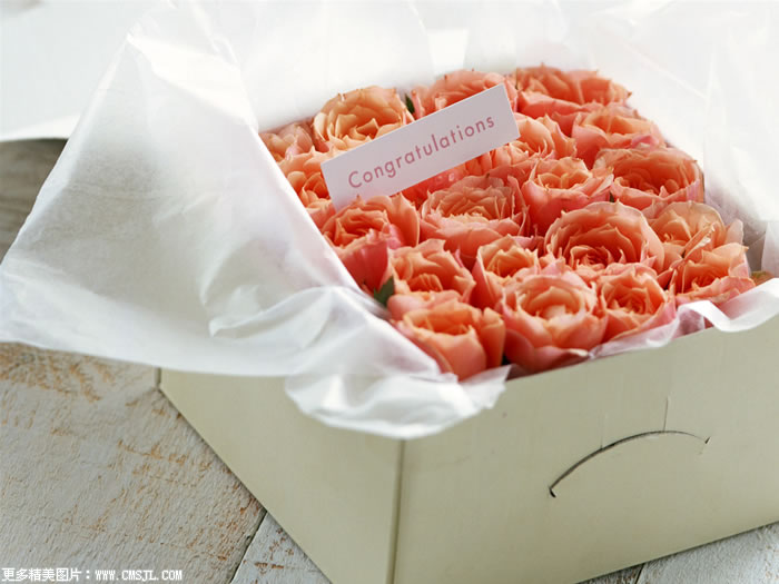 �ʻ���Ʒ��װ