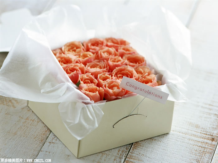 �ʻ���Ʒ��װ