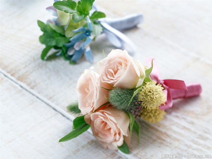 �����ʻ���Ʒ