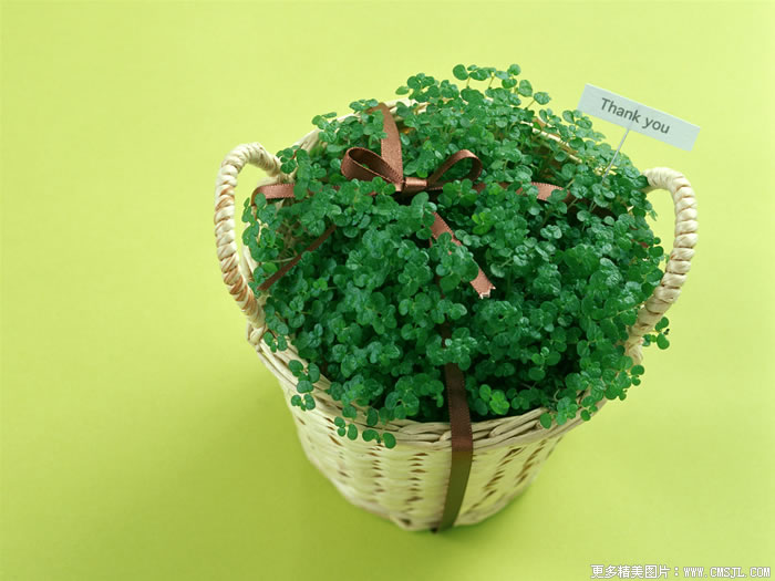 �����ʻ���Ʒ