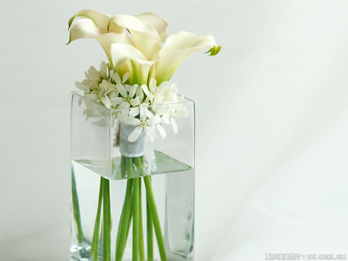 �����ʻ���Ʒ