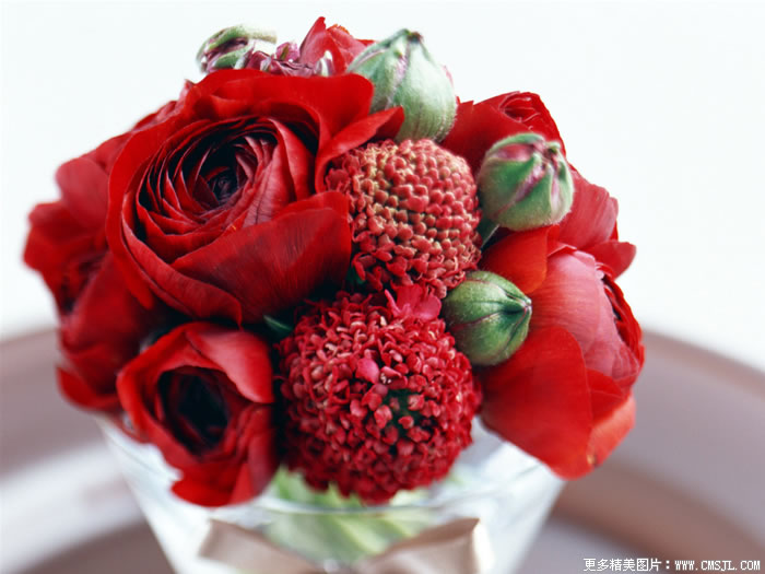 �����ʻ���Ʒ