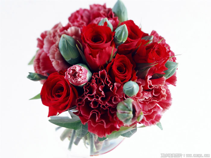 �����ʻ���Ʒ