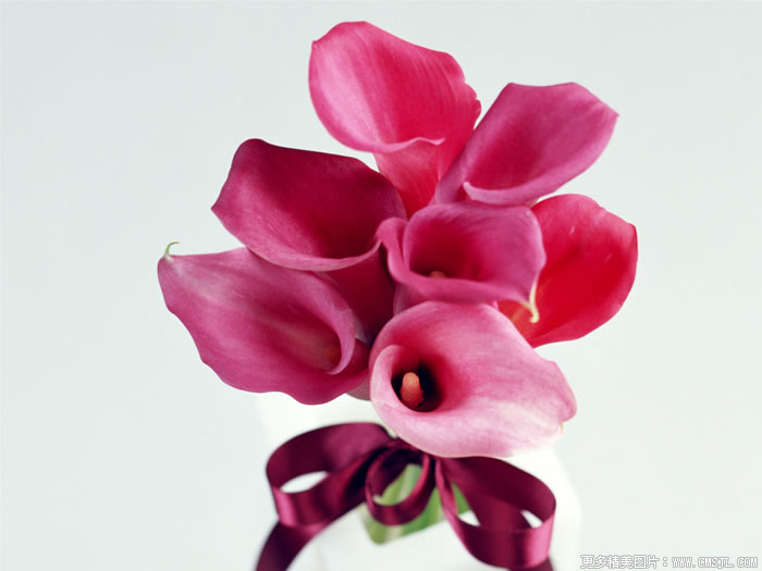 �����ʻ���Ʒ