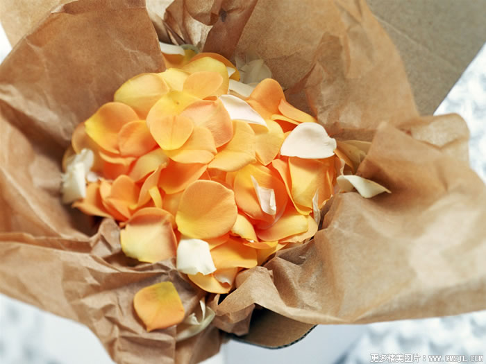 �����ʻ���Ʒ