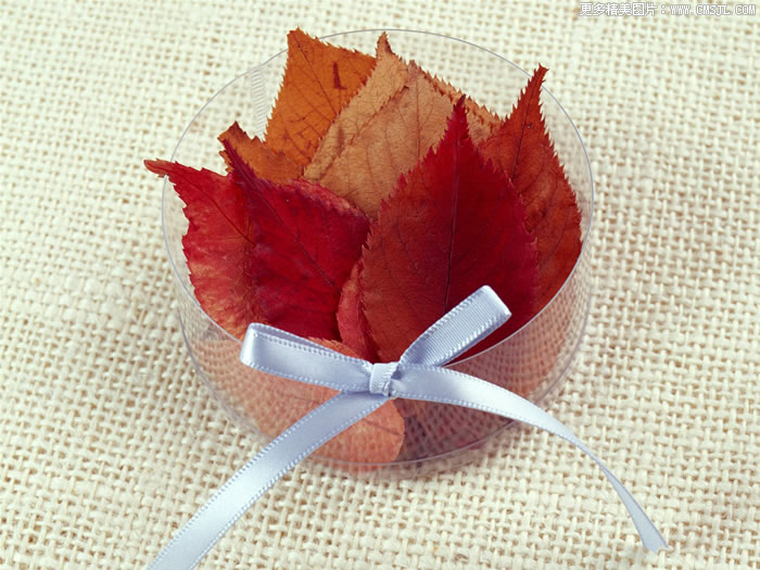 �����ʻ���Ʒ