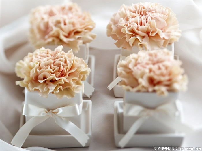 �����ʻ���Ʒ