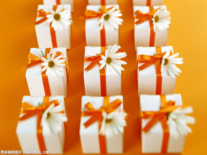 ��װ�������