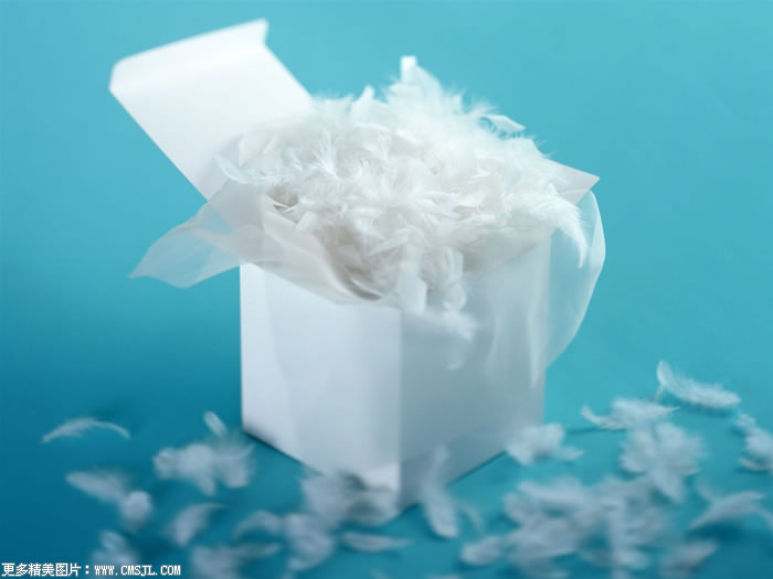 ��Ʒ��װ��