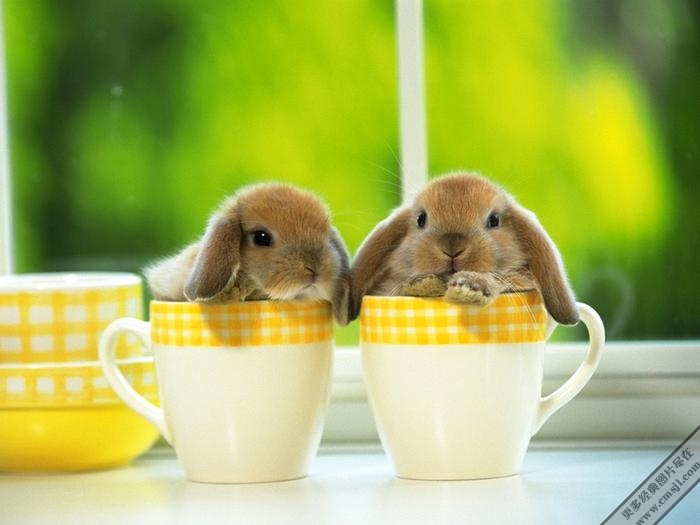 �������ӿɰ���ֽ