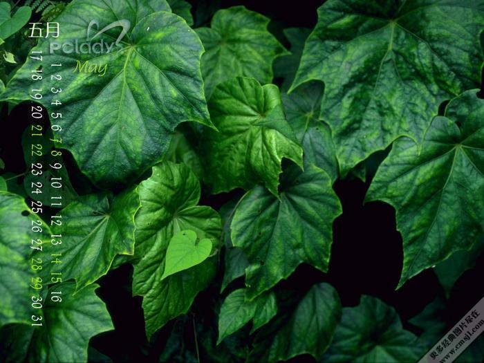 ������ֽ������ɫ����