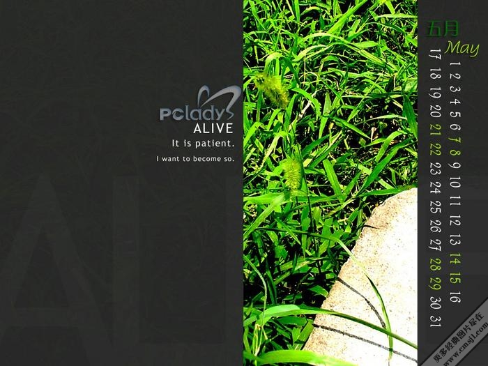 ������ֽ������ɫ����