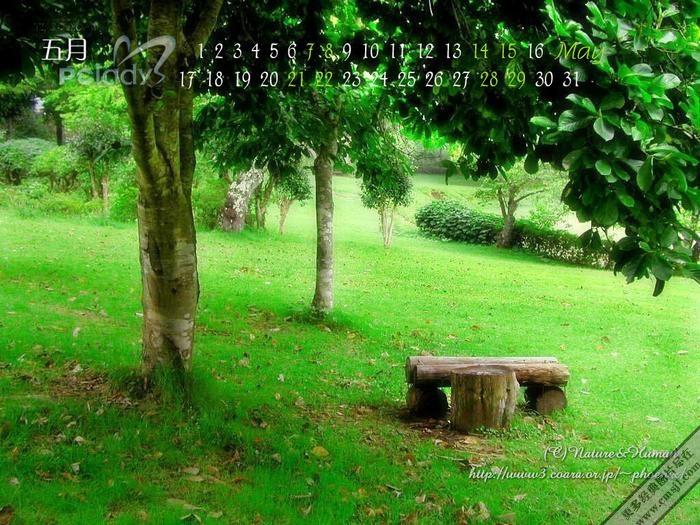 ������ֽ������ɫ����