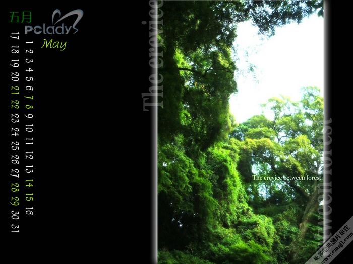 ������ֽ������ɫ����