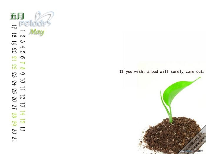 ������ֽ������ɫ����