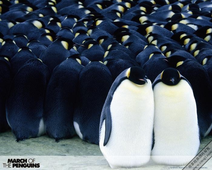 ������ռ�