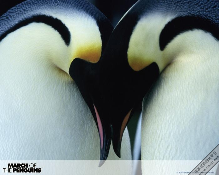 ������ռ�