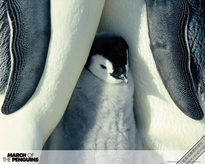 ������ռ�