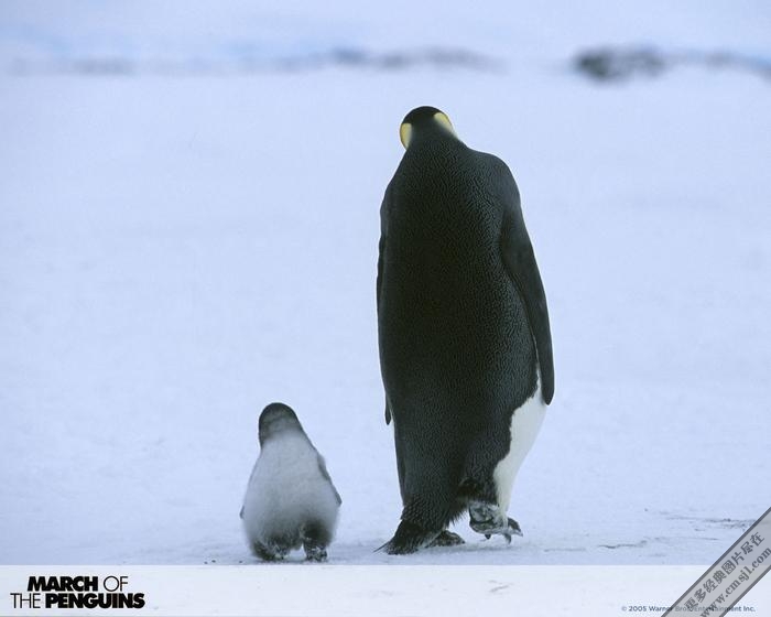 ������ռ�