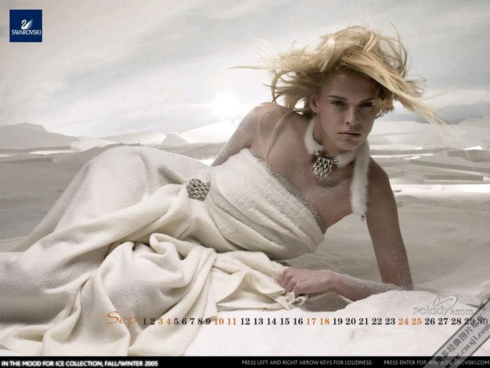 ʩ����˹��swarovski��ֽ����