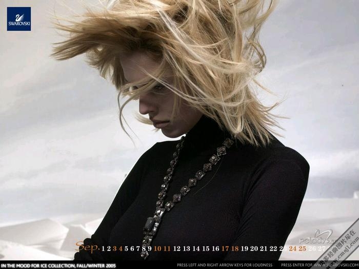 ʩ����˹��swarovski��ֽ����