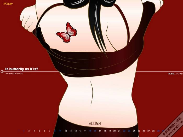 ��ֽ����