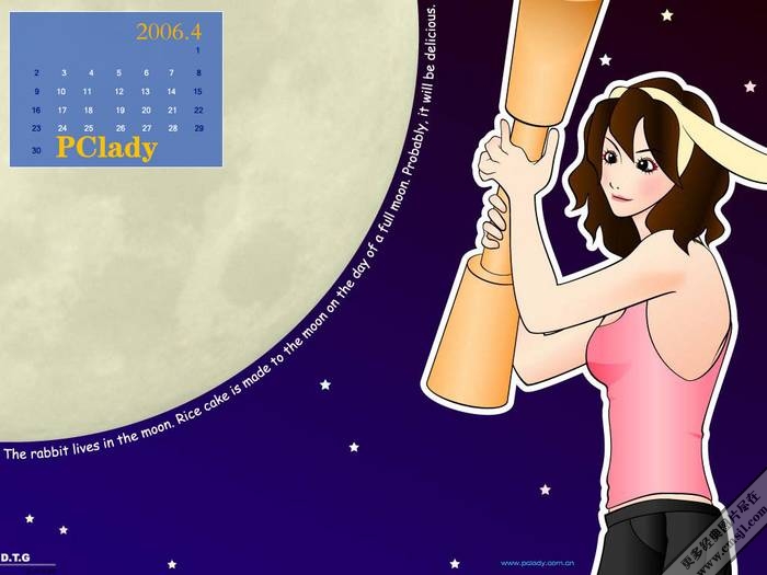 ��ֽ����