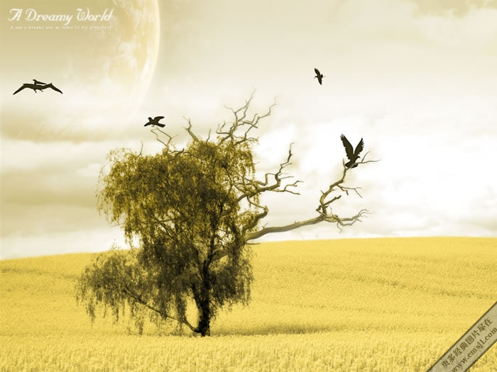 �Ŀ�����