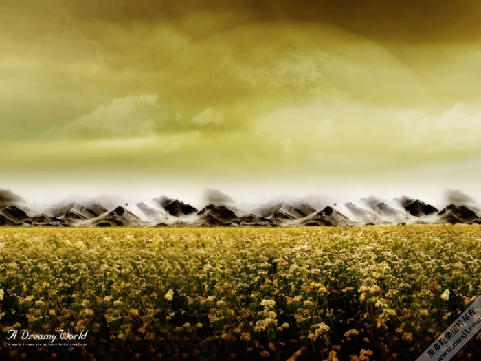 �Ŀ�����