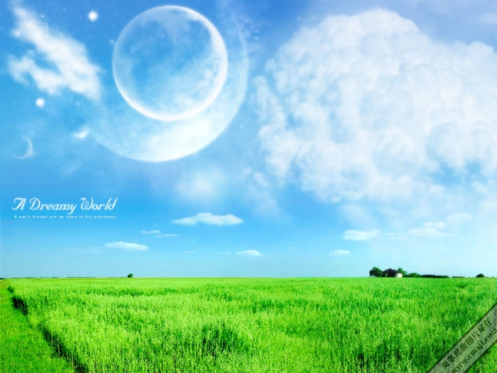 ��ɫ����