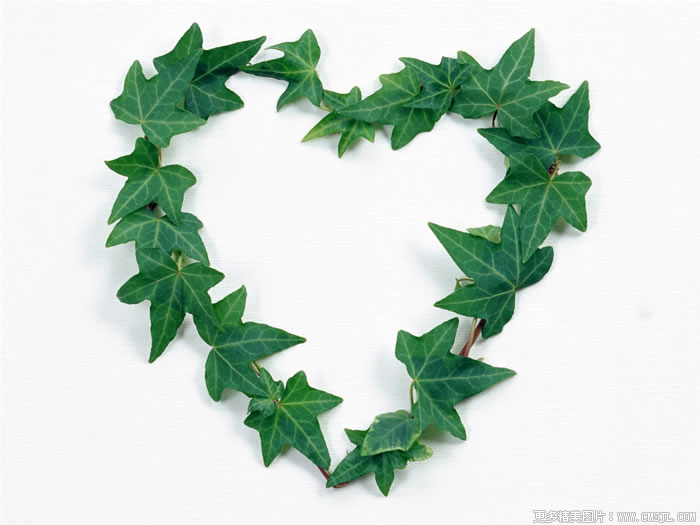 ����ͼ��