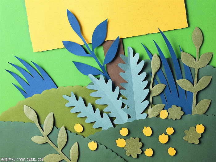 ��ֽ����