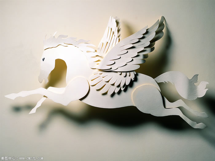 ��ֽ����