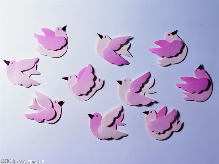 ��ֽ����