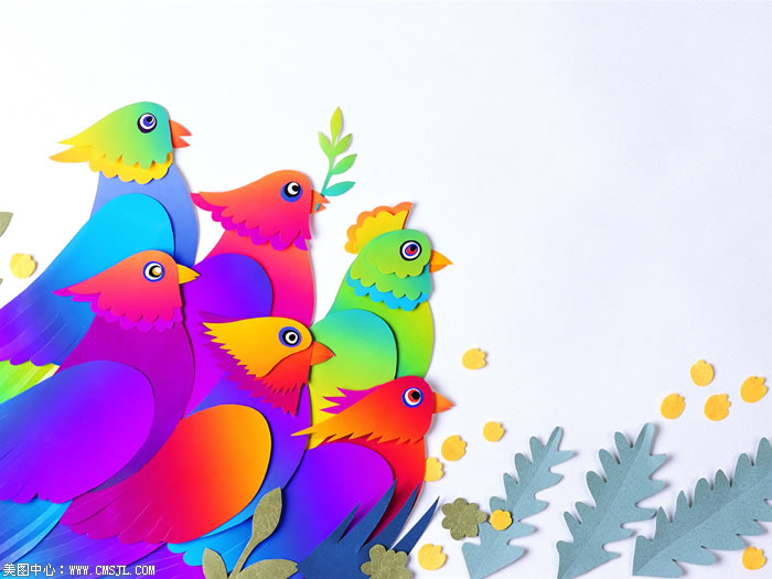 ��ֽ����