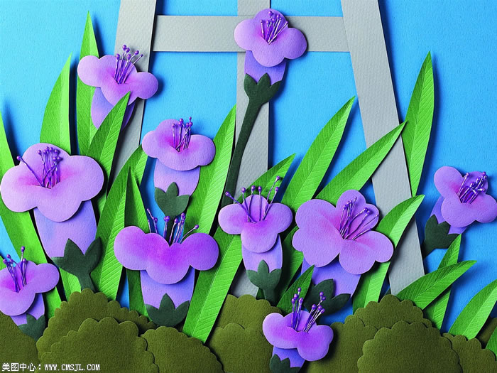 ��ֽ����