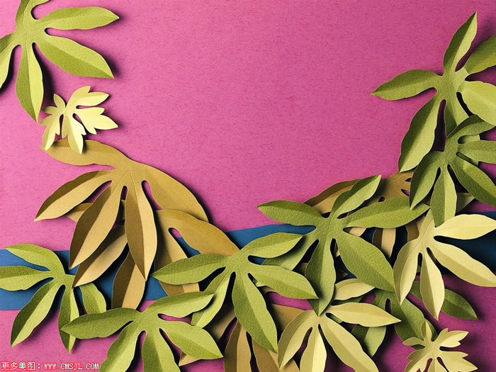 �й���ֽͼƬ