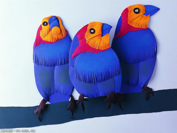 �й���ֽͼƬ