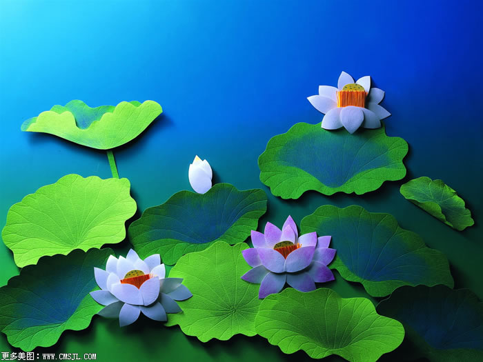 �й���ֽͼƬ