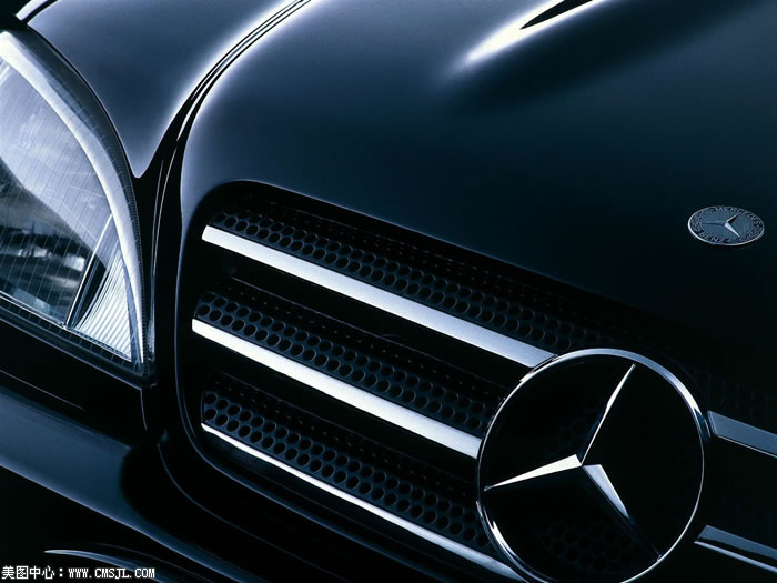 ����ϸ������