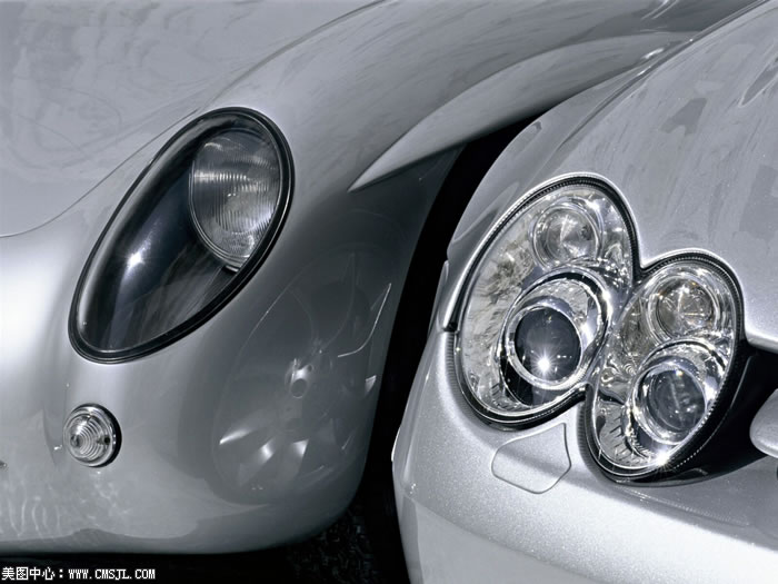 ����ϸ������